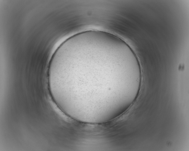 X0000112751056200909101535