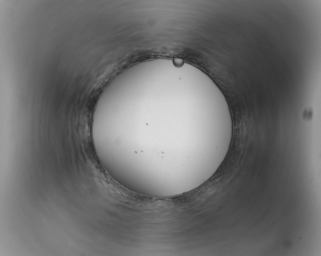 X0000112751058200909101535