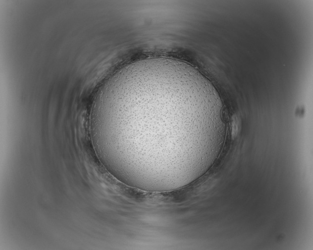 X0000112751059200909101535