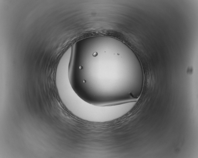 X0000112751060200909101535