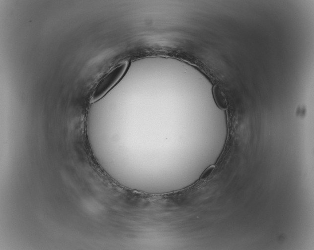 X0000112751061200909101535