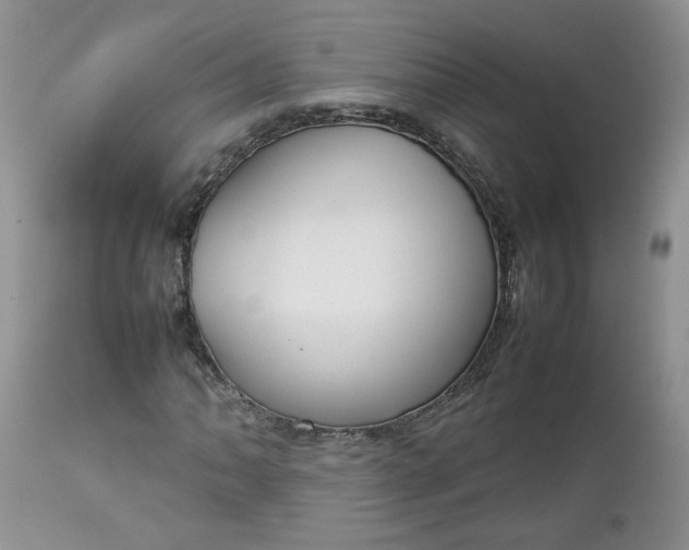 X0000112751062200909101535