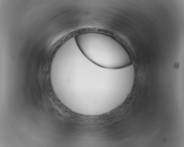 X0000112751064200909101534