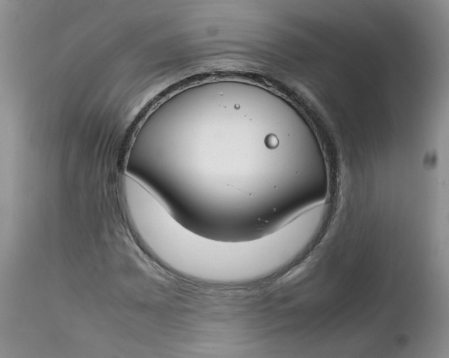 X0000112751065200909101534