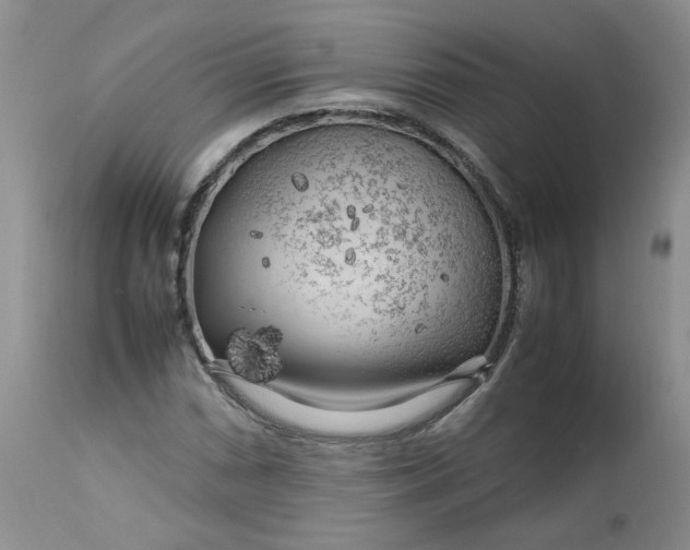 X0000112751066200909101534