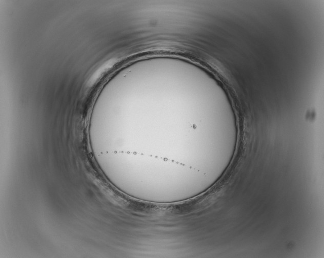 X0000112751067200909101534