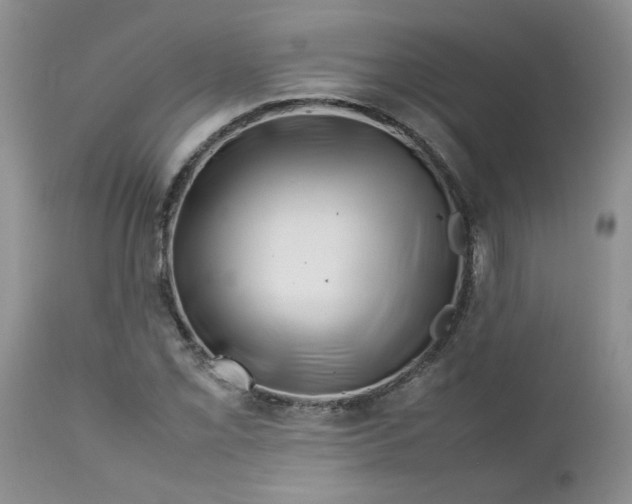 X0000112751069200909101534