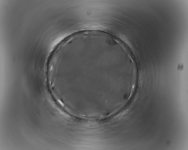 X0000112751071200909101534