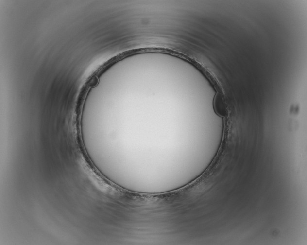 X0000112751072200909101534