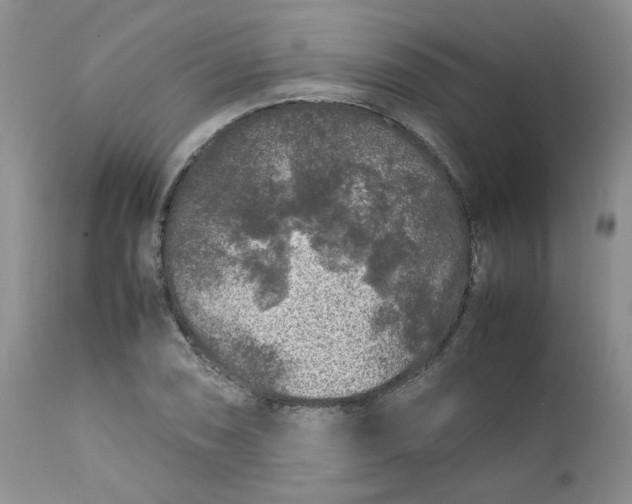 X0000112751074200909101534