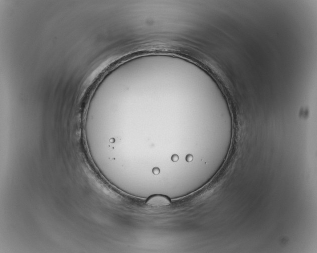 X0000112751075200909101534