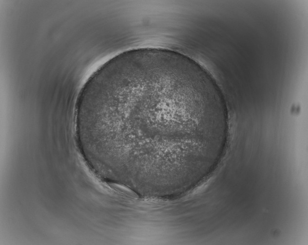 X0000112751077200909101534