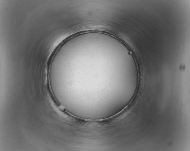 X0000112751079200909101534