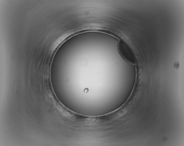 X0000112751081200909101534