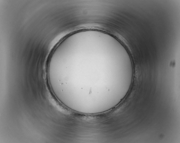 X0000112751082200909101534