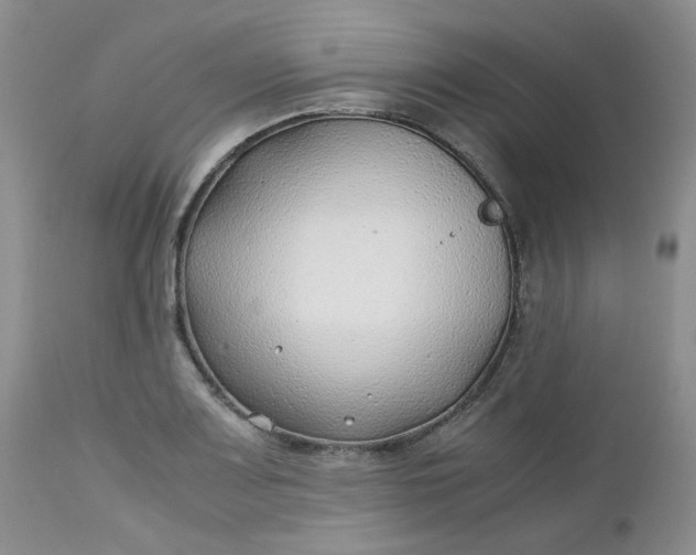 X0000112751083200909101534