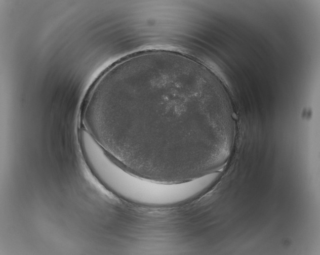 X0000112751084200909101534