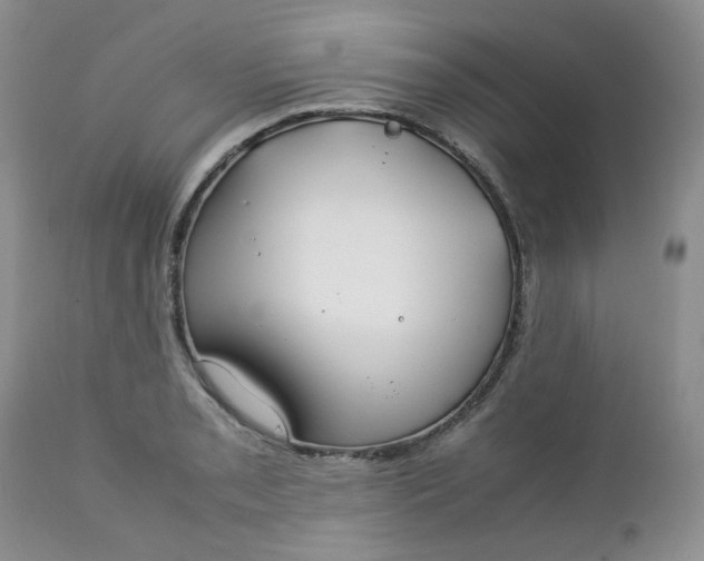 X0000112751085200909101534