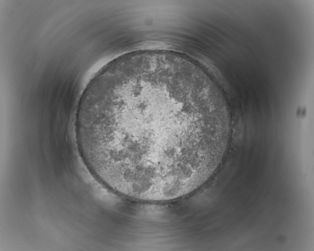 X0000112751086200909101534