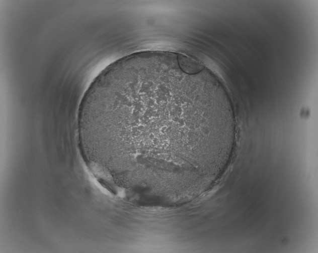 X0000112751087200909101534