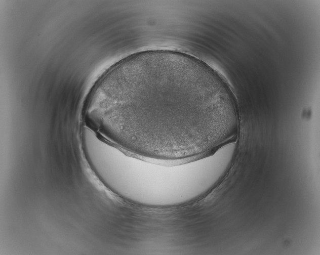 X0000112751088200909101534