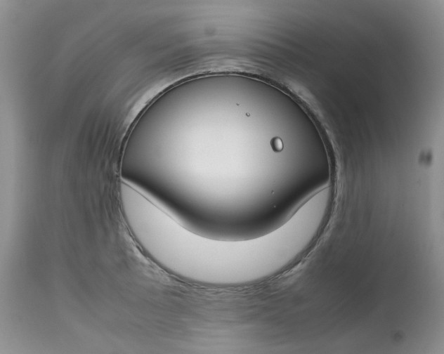 X0000112751089200909101534