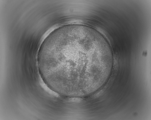 X0000112751090200909101534