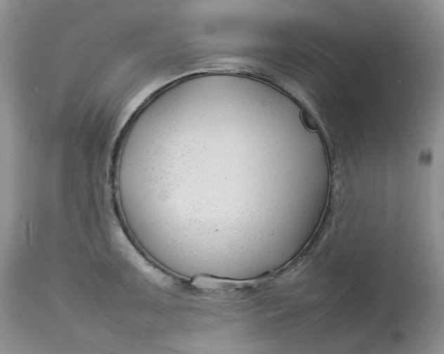 X0000112751091200909101534