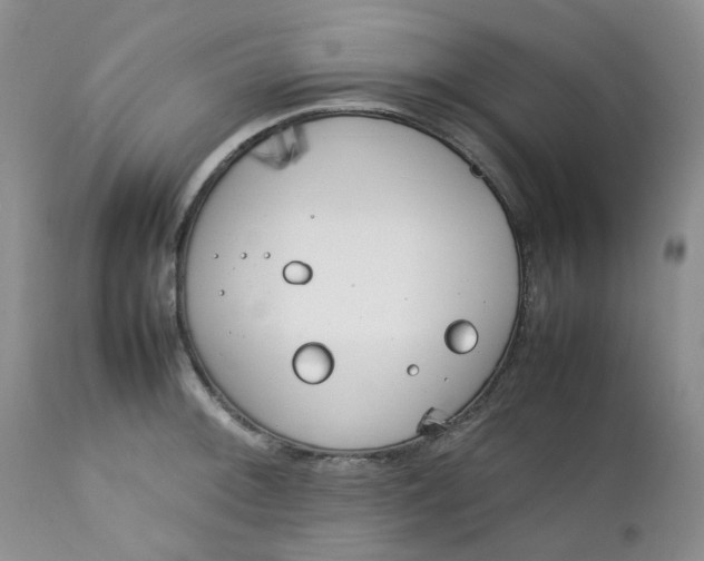 X0000112751092200909101534