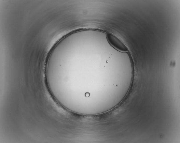 X0000112751093200909101534