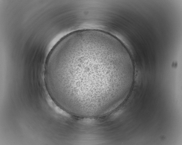 X0000112751094200909101534