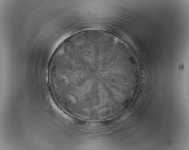 X0000112751095200909101534