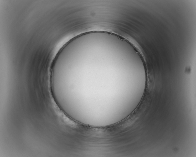 X0000112751096200909101534