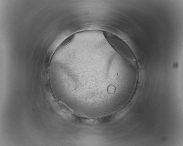 X0000112751097200909101534