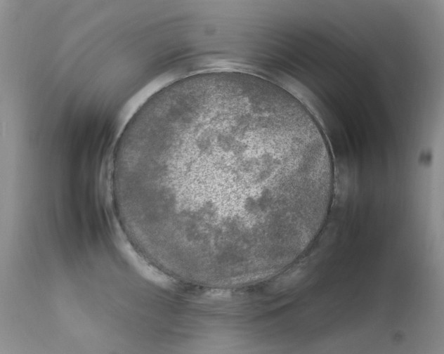 X0000112751098200909101534