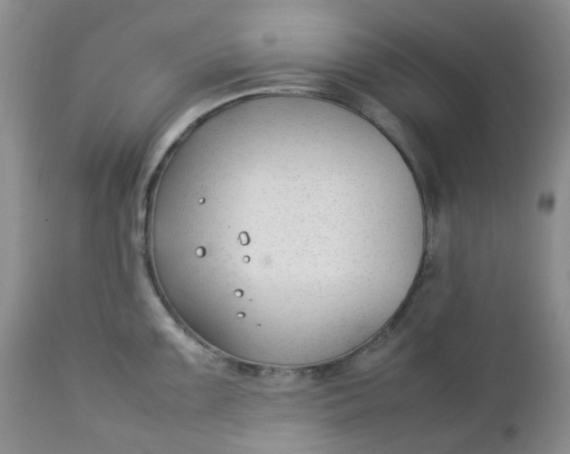 X0000112751099200909101534