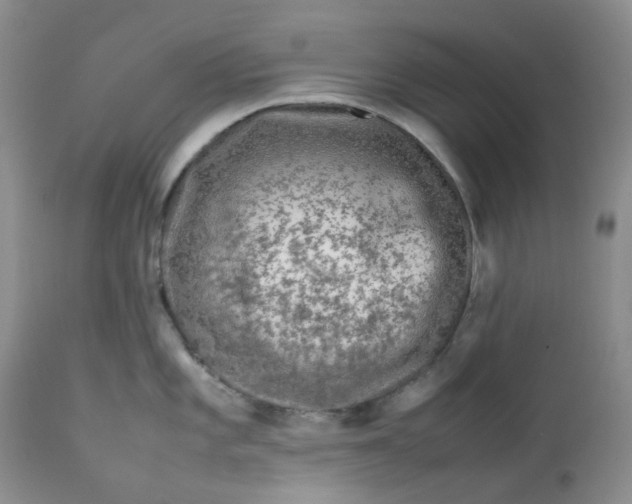 X0000112751101200909101534