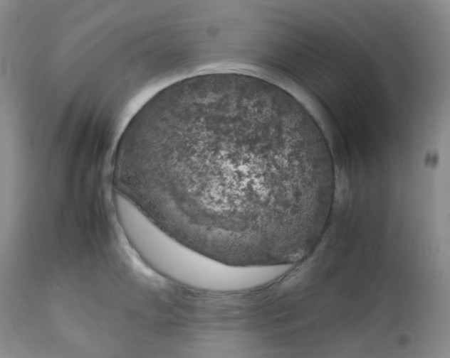 X0000112751102200909101534