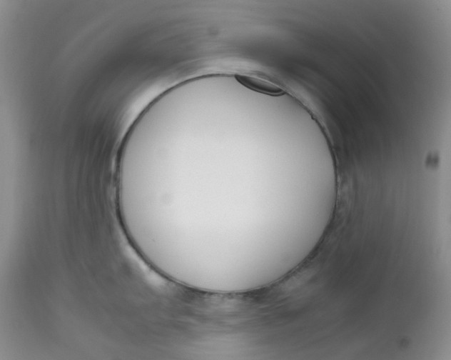 X0000112751103200909101534