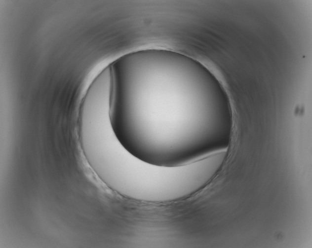 X0000112751104200909101534