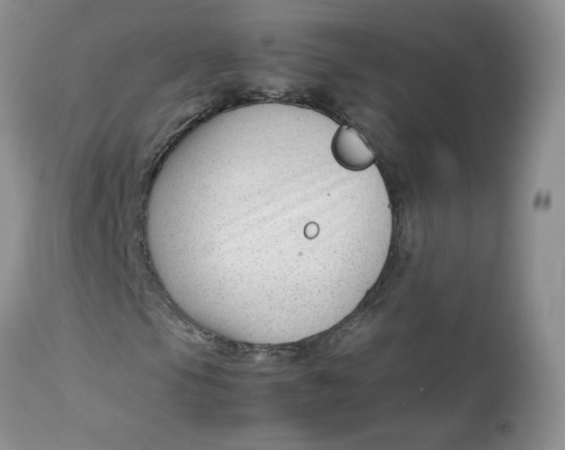 X0000112751105200909101533