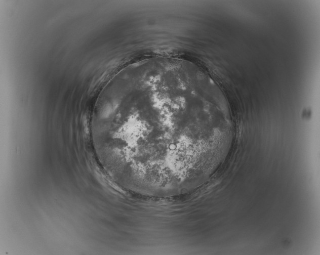 X0000112751106200909101533