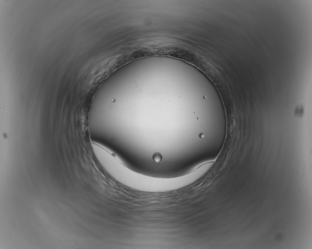 X0000112751108200909101533