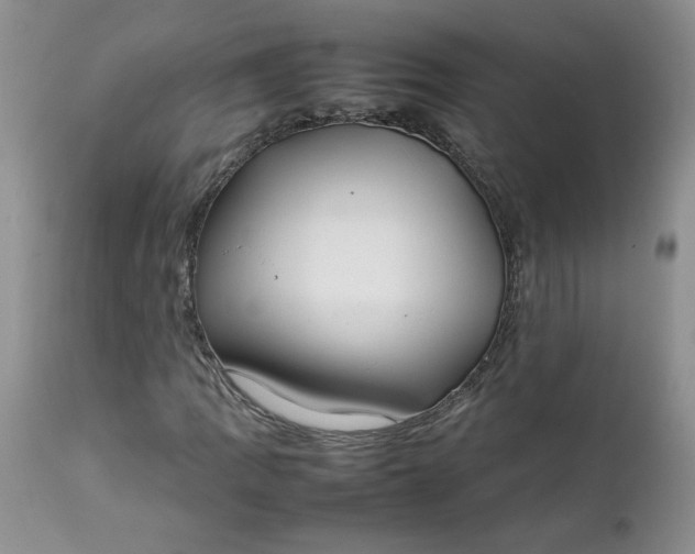 X0000112751109200909101533