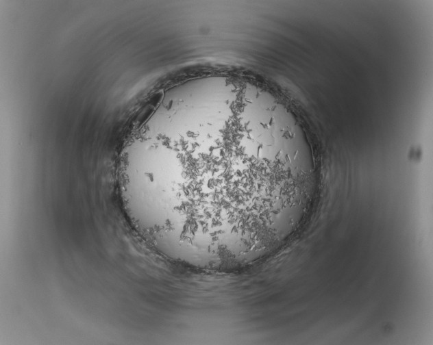 X0000112751110200909101533