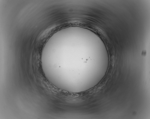 X0000112751111200909101533