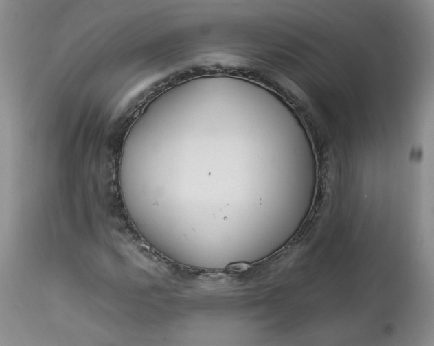 X0000112751112200909101533