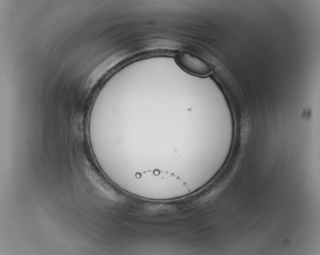 X0000112751113200909101533