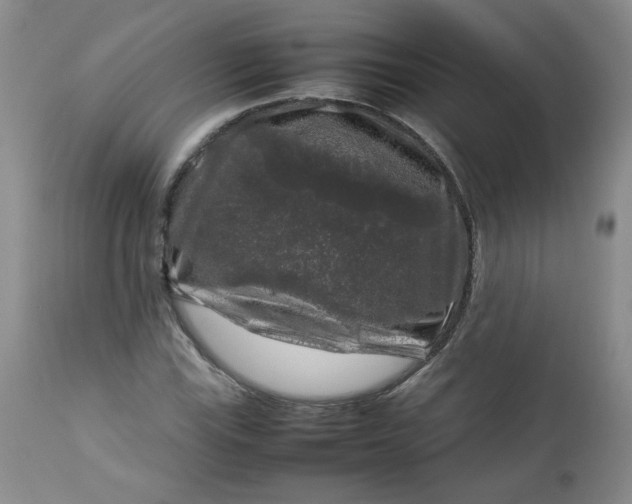 X0000112751115200909101533