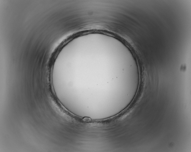 X0000112751118200909101533